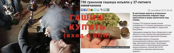 гашик Алзамай
