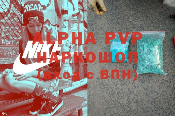 гашик Алзамай