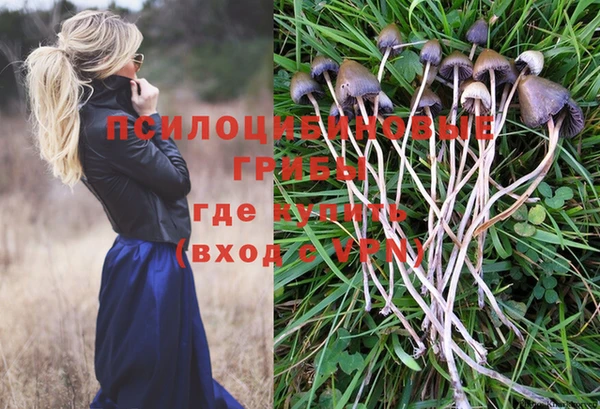 гашик Алзамай
