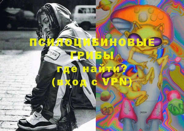 apvp Алексин
