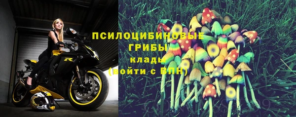 гашик Алзамай