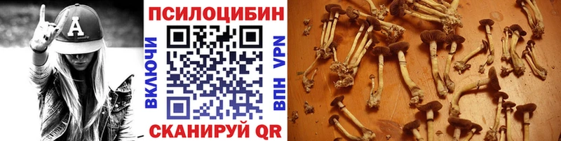 Галлюциногенные грибы Cubensis  где найти   Томари 